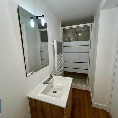 Location Appartement 1 pièce 14m² LE MANS 72000 - Photo 3