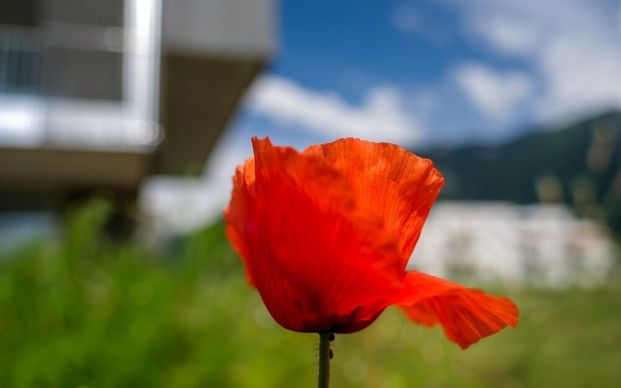 Beautiful 3.5 room apartment with balcony / Bex-Jardins - Photo 1