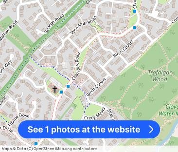 Hazel Covert, Thetford - Photo 1