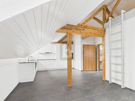 NEW, HISTORIC, LARGE GARDEN FOR SHARED USE - Photo 4