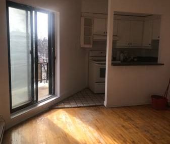 One-Bedroom in Côte-Des-Neiges/NDG - Photo 3