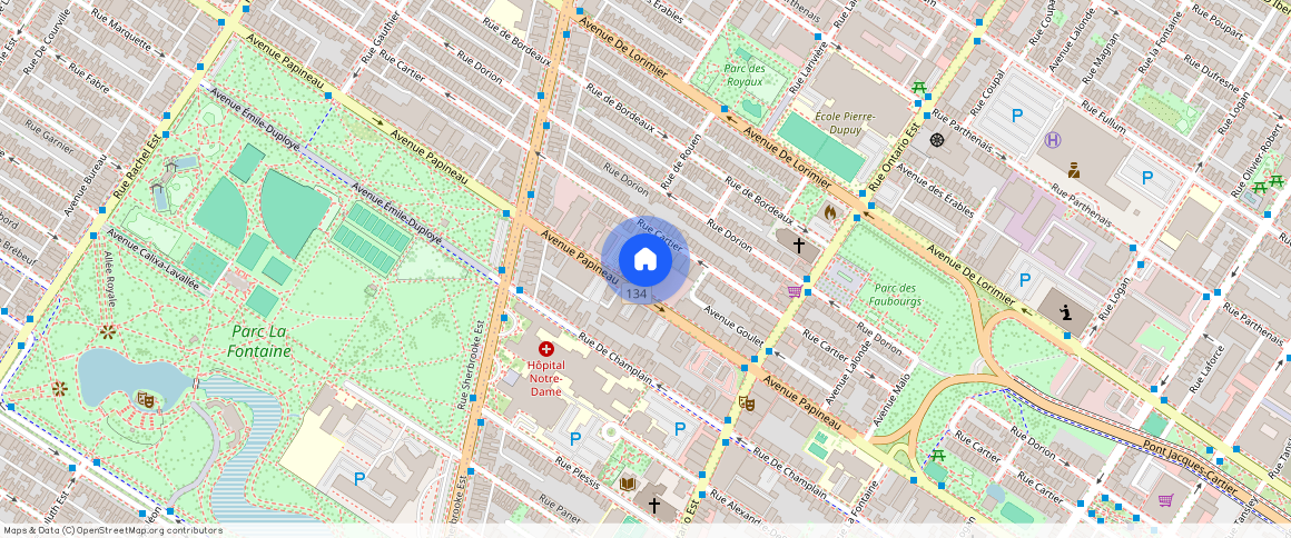 ** Avenue Papineau, Ville-Marie, Ville-Marie, Ile de Montréal, H2K 4J5