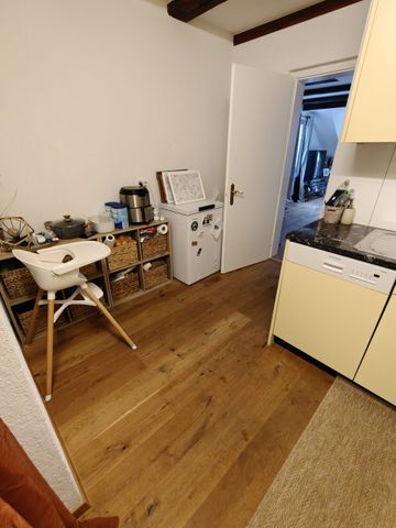 21/2 ROOM APARTMENT IN THUN (BE), FURNISHED, TEMPORARY - Photo 5