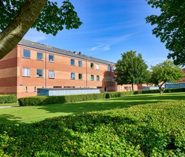 Havrevej, 22, 2. 491, Thisted, 7700 - Foto 3