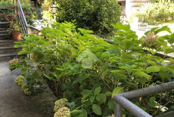 Casa indipendente in affitto