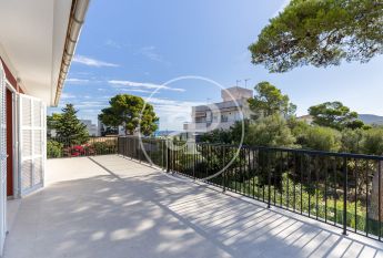 House for rent with Terrace in Port d’Alcúdia - Platja d'Alcúdia (Alcúdia)