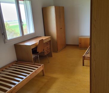 5.5 Zimmerwohnung im 1.Stock in Montets - Foto 4