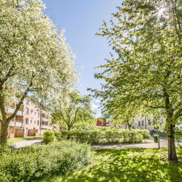 Gröna Gatan 22 D, 75436, Uppsala - Photo 1