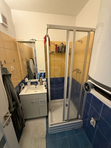 Pronájem bytu 2+1 50 m², Jankov - Photo 4