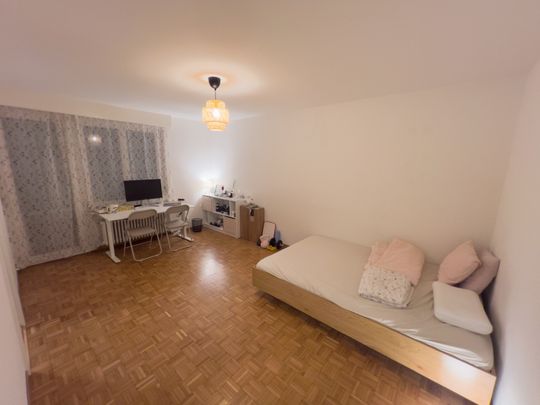 Wir suchen neue Mieter! Finding a new tenant! - Foto 1