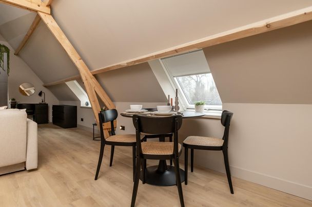Te huur: Appartement Haanwijk in Sint-Michielsgestel - Photo 1