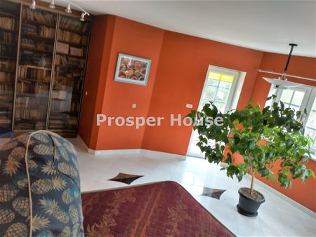 Marki, Pustelnik - Zdjęcie 2