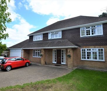 house to rent - Photo 5