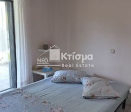 Μονοκατοικία για ενοικίαση - Πύργος, - Φωτογραφία 4