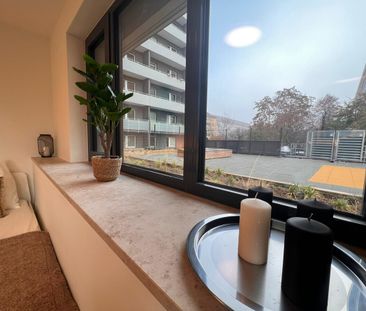Köpenicker Str. 102: LUXUS 2-Zi-Whg + SÜD-Terrasse - per SOFORT - Photo 5