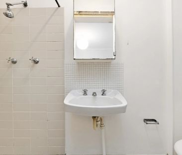 Located Opposite Camperdown Park - Photo 6