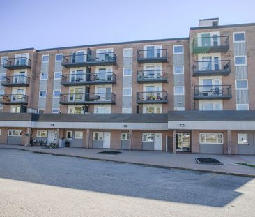 Trout Lake Place - ALL INCLUSIVE | 2677 Trout Lake, North Bay - Photo 1