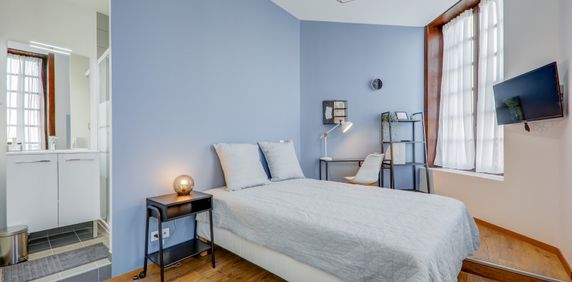 LAROUSSE Roommate 5 Bedrooms at Villeurbanne - Photo 2