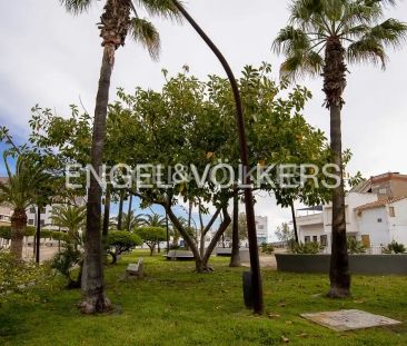 Moncofa - Photo 4