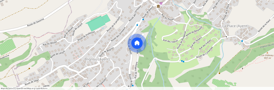 1966, Argnou (Ayent), Rue De Trébutyre, 7