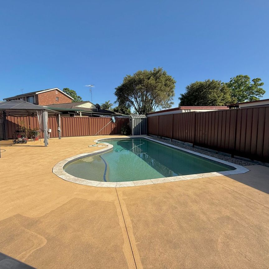 Modern Family Home with Pool! - Photo 1