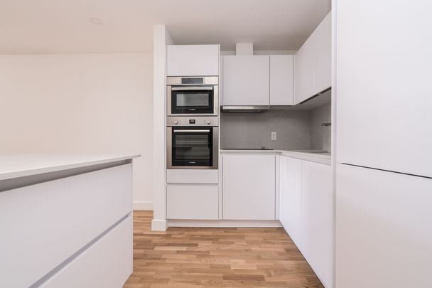 230 Oak Street - Photo 1