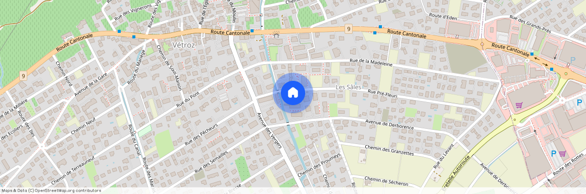 Avenue De Derborence 48, 1963 Vétroz