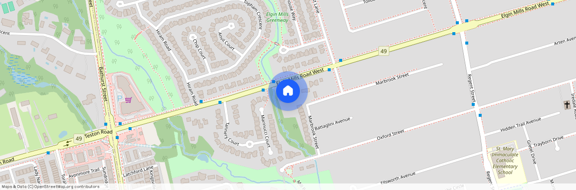 539, 539, Elgin Mills, Rd, W, Richmond Hill