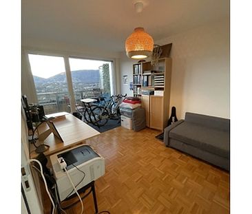 5 Zimmer-Wohnung in Genève - Saint-Jean/Charmilles, möbliert, auf Zeit - Photo 6