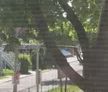 1 room apartment of 27m² in Montreal - Photo 2