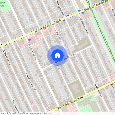 390 McEwan Ave, Windsor