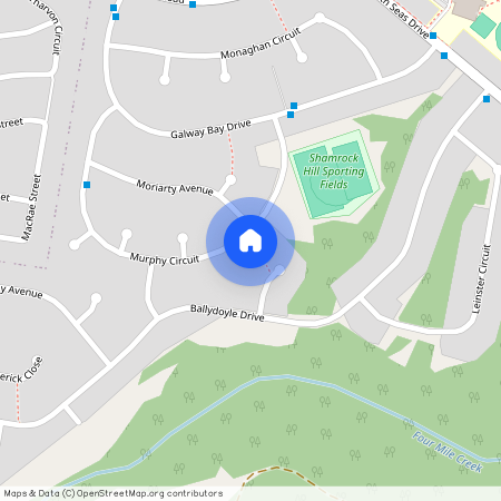 50 Murphy Cct, NSW 2323, Ashtonfield