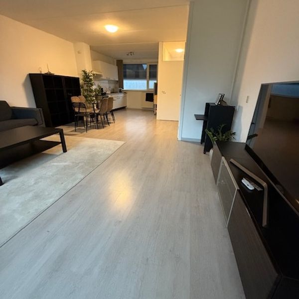 Looyenland 63 - Photo 1