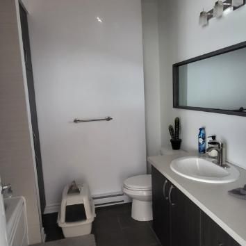 Condo a louer Grand 3 1/2 - Photo 4