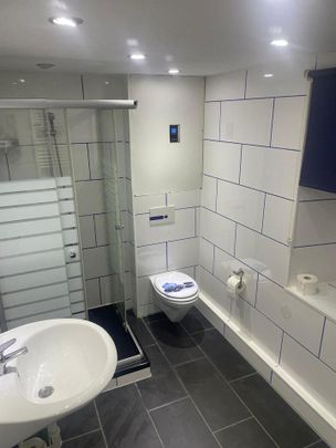 Wohnung zu vermieten Einzimmerwohnung 1 Zimmer Mietwohnung - Photo 1