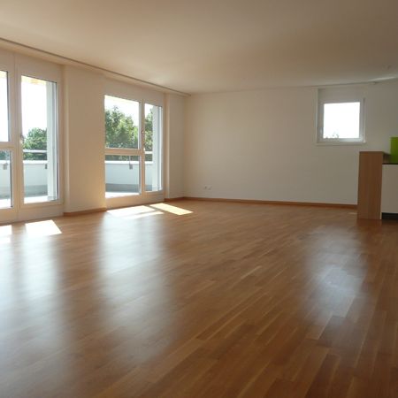 Ihr neues Zuhause in Fehraltorf - Foto 1