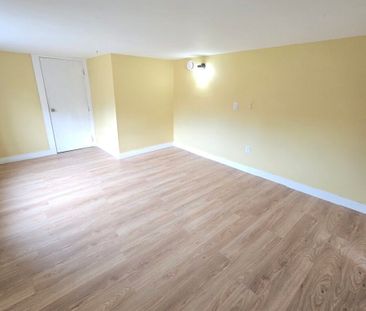 Spacious Basement Suite in Chilliwack - Photo 1