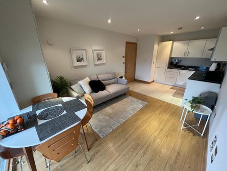 Beech House, Carrickmines, Dublin 18 - Photo 2