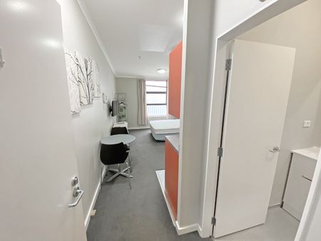 Aitken Street Studio Apartment - Photo 3