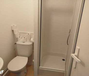 STUDIO - QUARTIER FACULTES PETIT PORT - SURFACE 20,50 M² - Photo 3