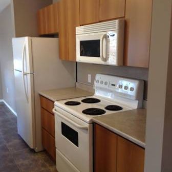 2 bed/1bath - Spacious & Bright - Photo 1