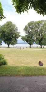 Beachfront Studio Steps from Kits Beach- Unfurnished - Jan 1st - Photo 3