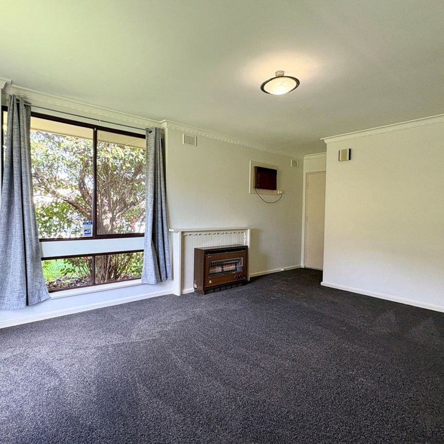 1 / 52 Newton Road, CAMPBELLTOWN - Photo 1