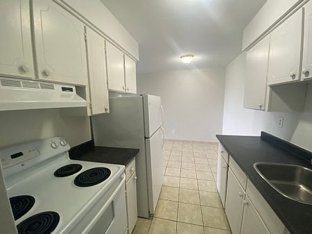 One Bedroom Apartment - Photo 3