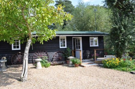 1 bedroom detached bungalow to rent - Photo 5