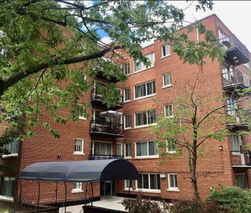 3635 Av. Ridgewood, #208 - Photo 3