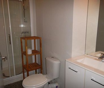 APPARTEMENT A LOUER A ROANNE - QUARTIER CLERMONT - Photo 5