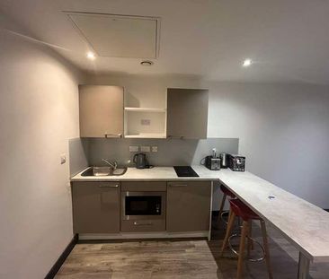 Large Studio - Central Luton - Furnished - Spring Place, LU1 - Photo 6