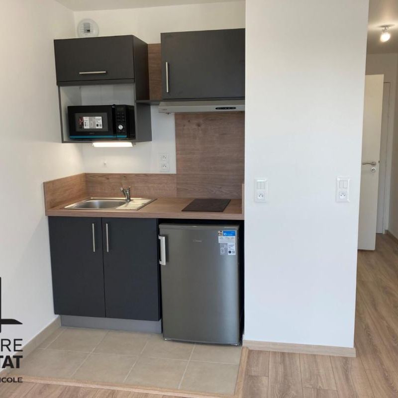 Location Appartement 1 pièce 19m² TOURS 37100 - Photo 1