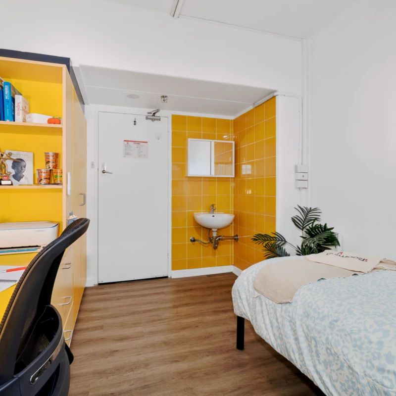 Studio Single Plus - Photo 1